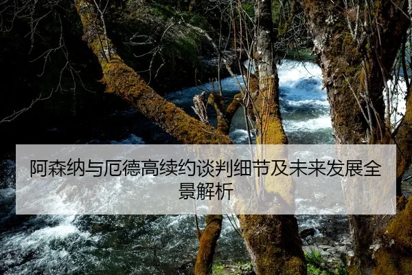 阿森纳与厄德高续约谈判细节及未来发展全景解析
